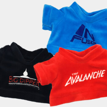 Pleasure Beach Bear - Ride T-Shirt Additions