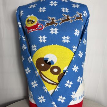 Mr Funshine Adults Christmas Jumper