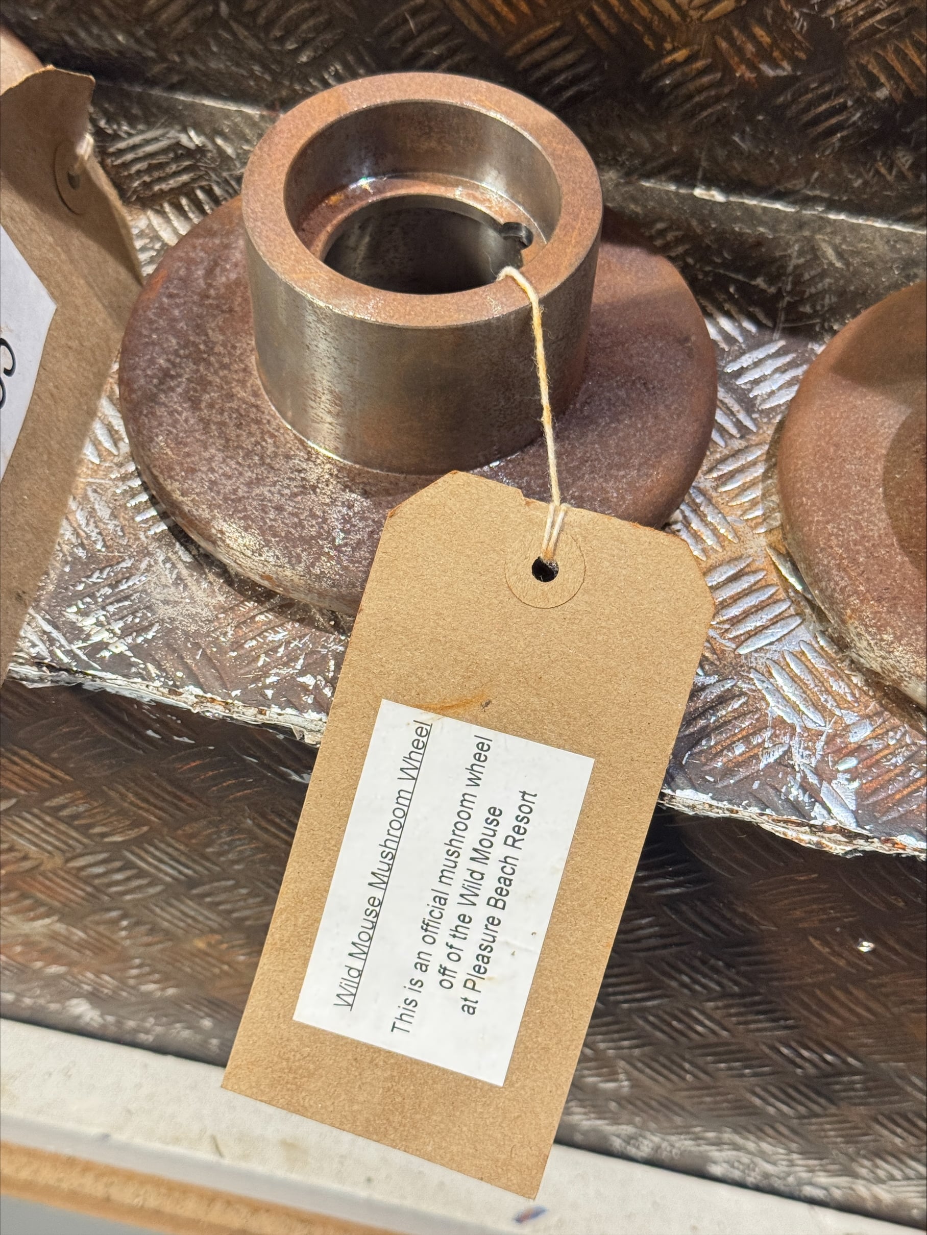 processed-A54C6539-3A0E-467A-A407-A2F5F28F2C66