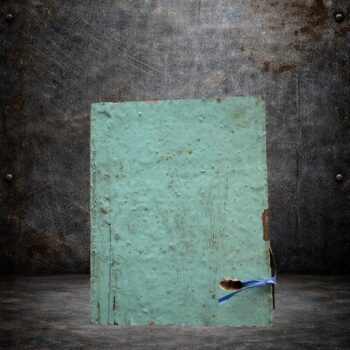 Blue Flyer Ride Wood