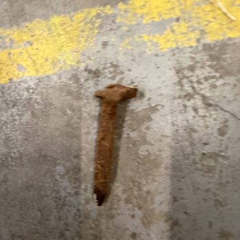 Pleasure Beach Express Track Dog Spikes