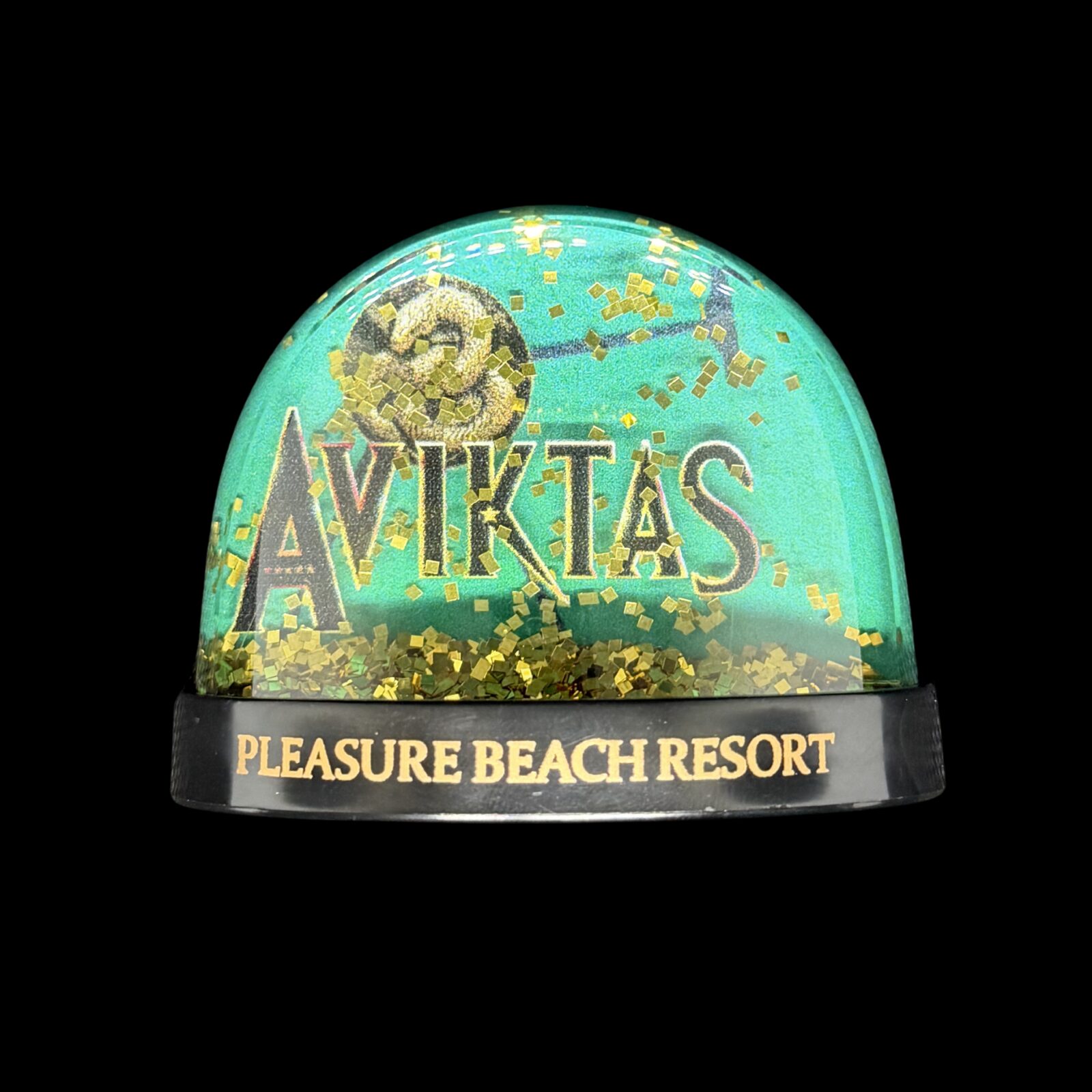 Aviktas 1 Snowglobe Magnet