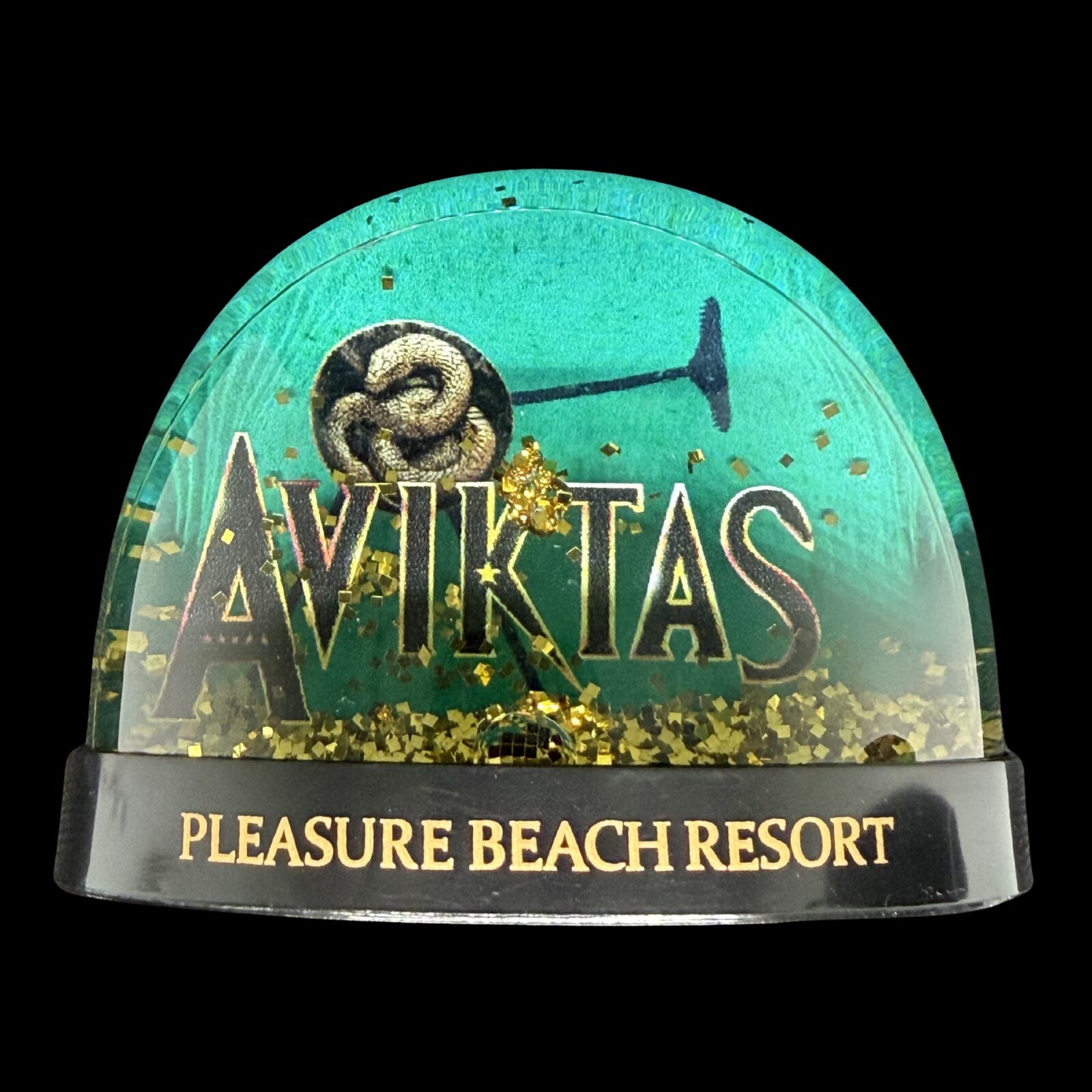 Aviktas 1 Snowglobe