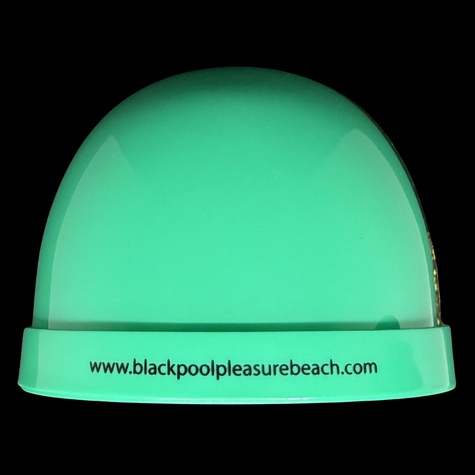 Aviktas 2 Snowglobe Back