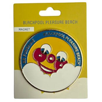 Mr Funshine Smiles Magnet