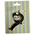 Mr Funshine Skating Magnet