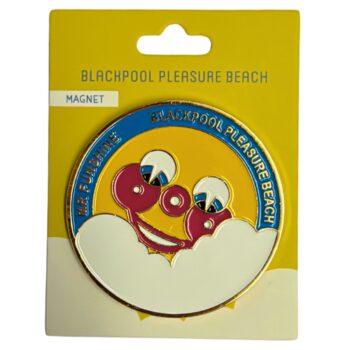 Mr Funshine Smiles Magnet