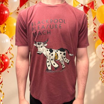 Mr Funshine Cow T-Shirt