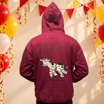 Mr Funshine Cow Hoody